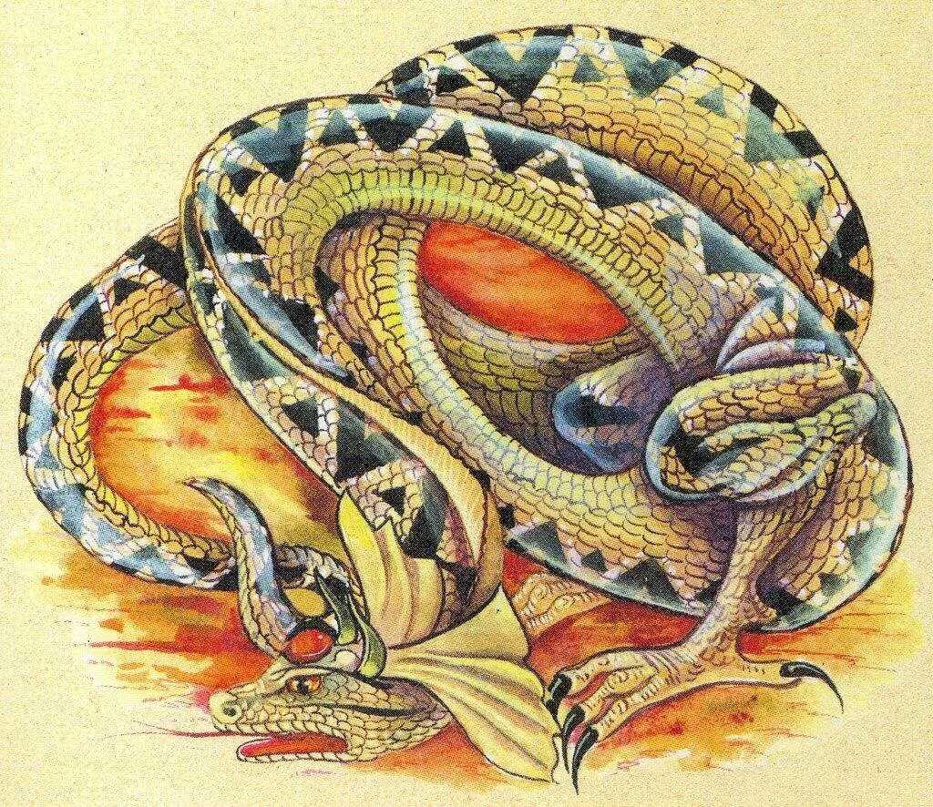 Змея: описание, строение, питание, размножение, фото, спячка, линька