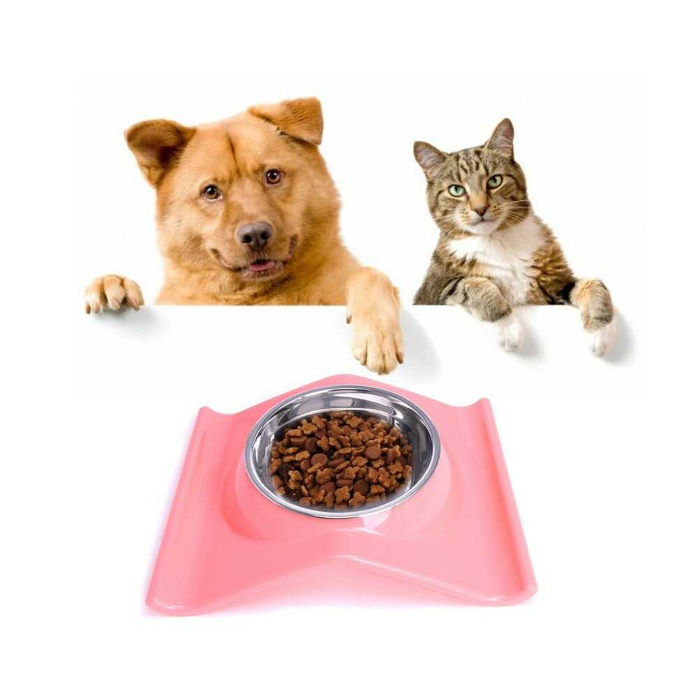 Можно ли собакам давать кошачий корм: сухой, влажный и в пакетиках, почему нельзя есть, что будет, если кормить щенков, вредно ли это