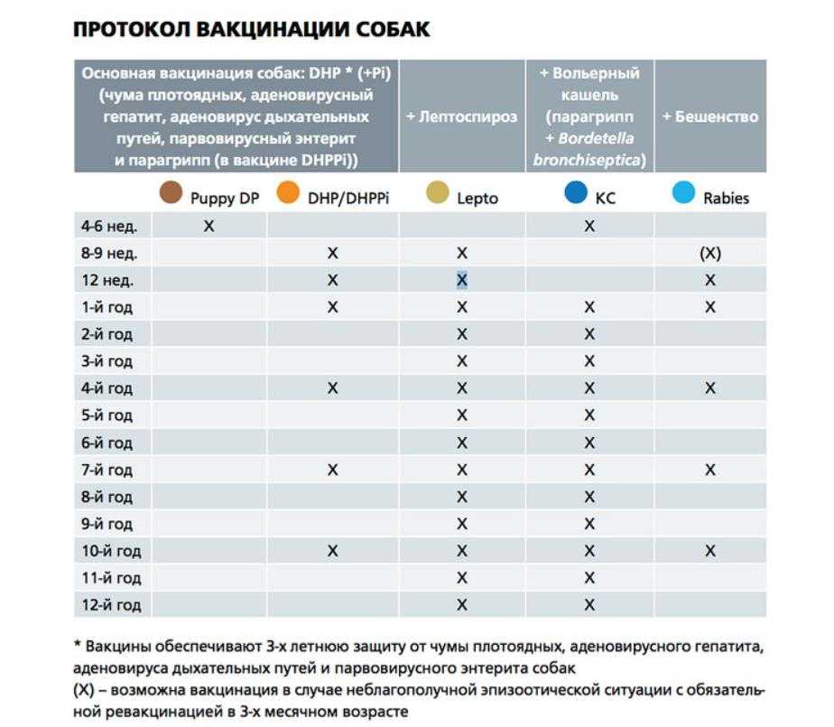 Мультикан 4 схема вакцинации - 86 фото