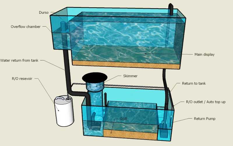 Скиммер для аквариума: типы устройства, принцип работы