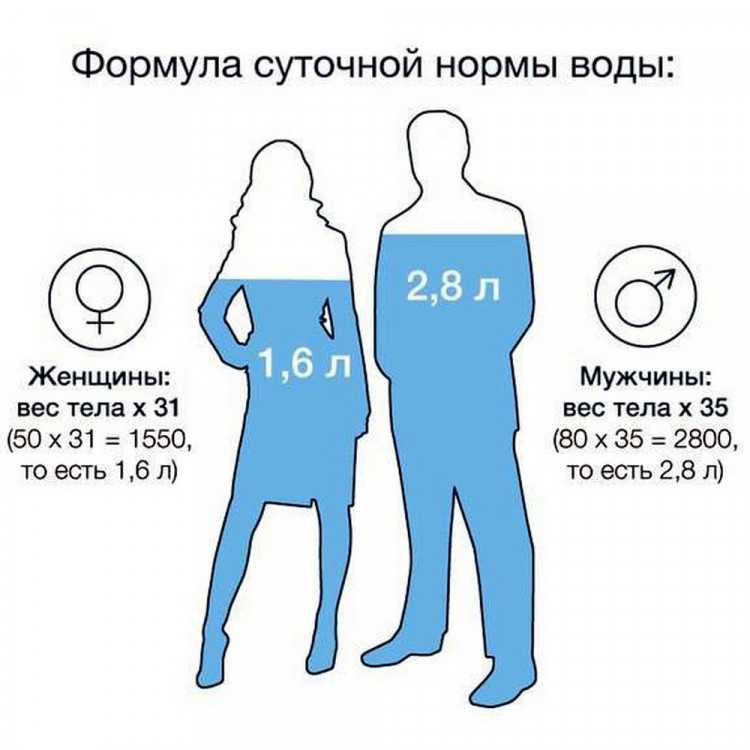 Морская свинка не ест и не пьет — почему морская свинка вялая, худеет и потеряла аппетит