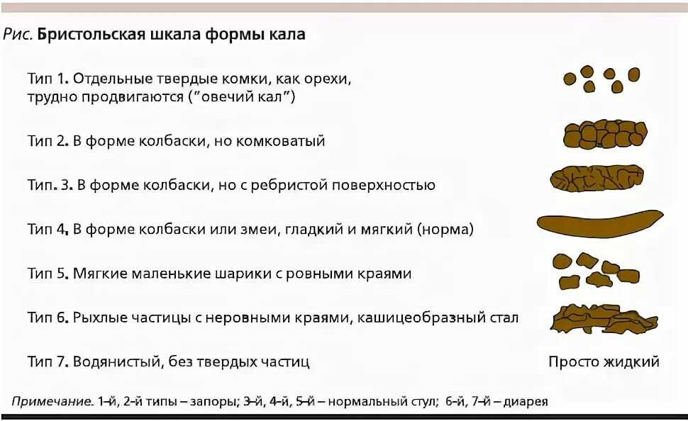 Почему у собаки белый кал?