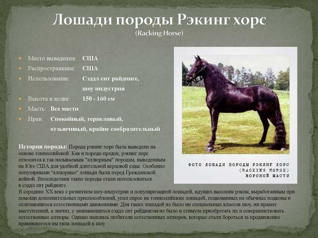 Характеристики рак лошадь. Высота лошади в холке. Рост лошади. Породы лошадей вес. Рост лошади в холке.