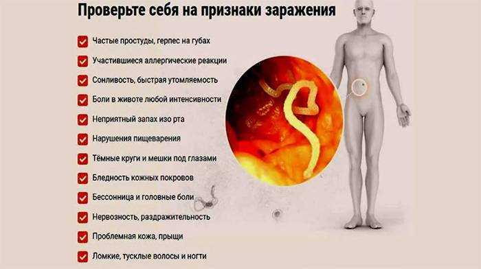 Трофическая язва. причины, симптомы, диагностика и лечение венозной трофической язвы