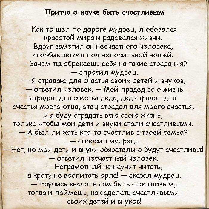 Блю лейси.описание порды, характеристика, фото | все о собаках