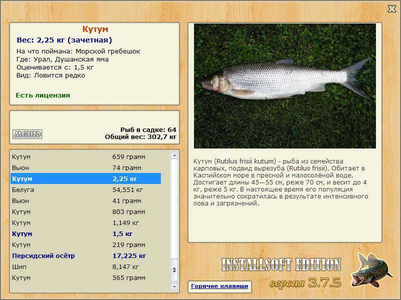 Вырезуб фото и описание – каталог рыб, смотреть онлайн