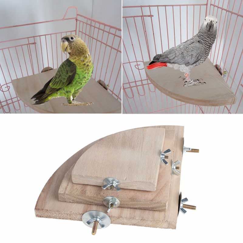 Кормушка для птиц своими руками – виды конструкций, материалов, способов и чертежей