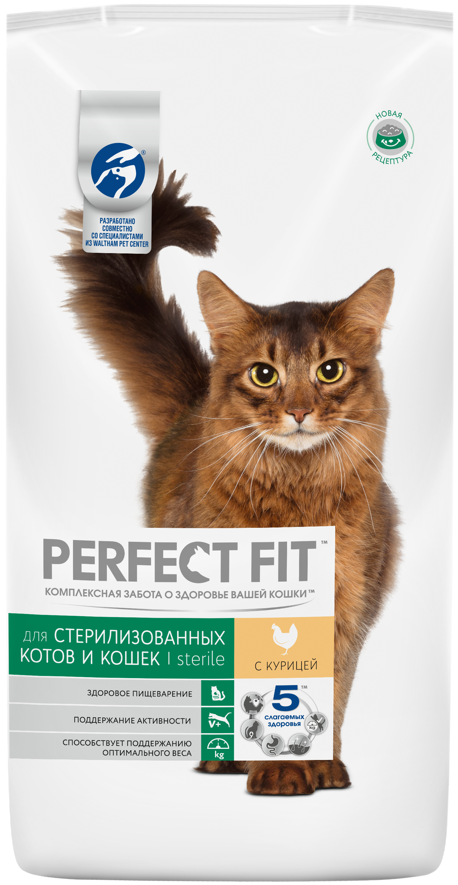 Как правильно кормить кота из шприца?