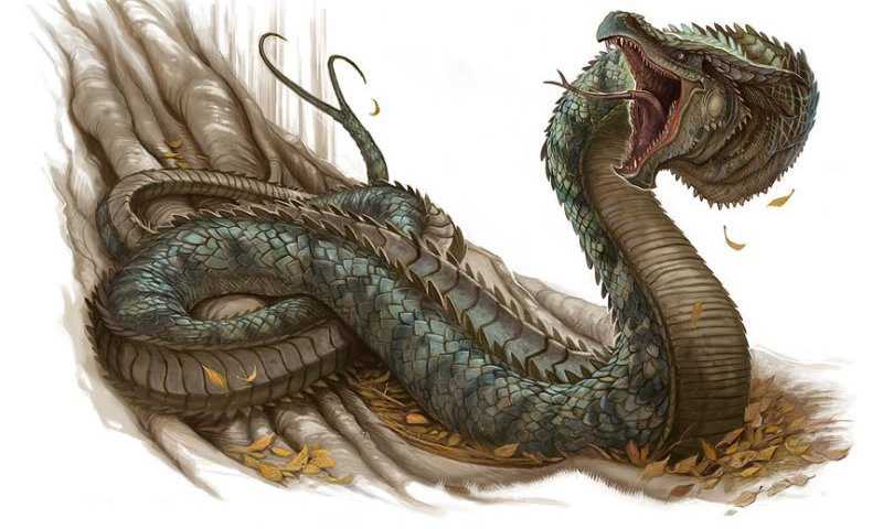 Кобра – священная змея