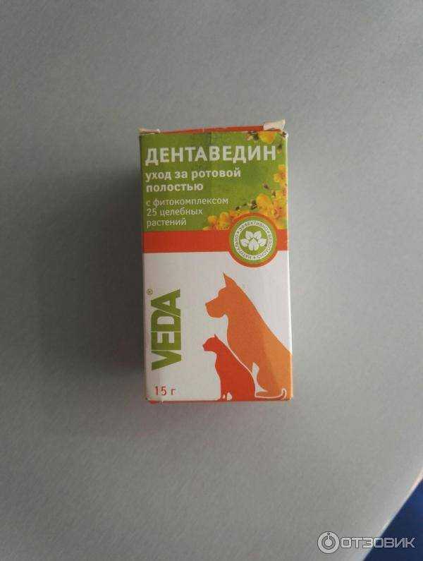 Дентаведин (гель) для кошек и собак | отзывы о применении препаратов для животных от ветеринаров и заводчиков