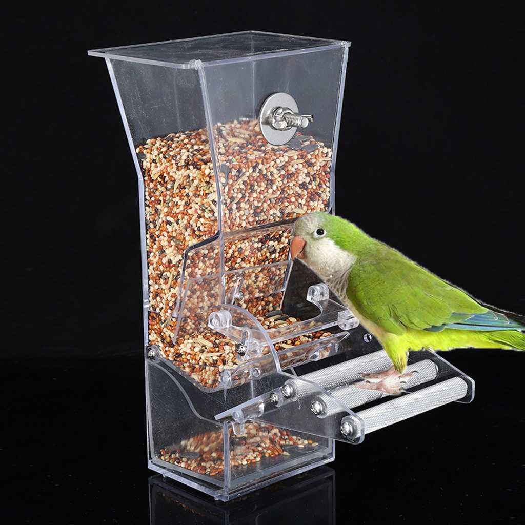 Виды кормушек для попугаев: внутренние, навесные Как сделать кормушку для попугая самостоятельно: полезные советы