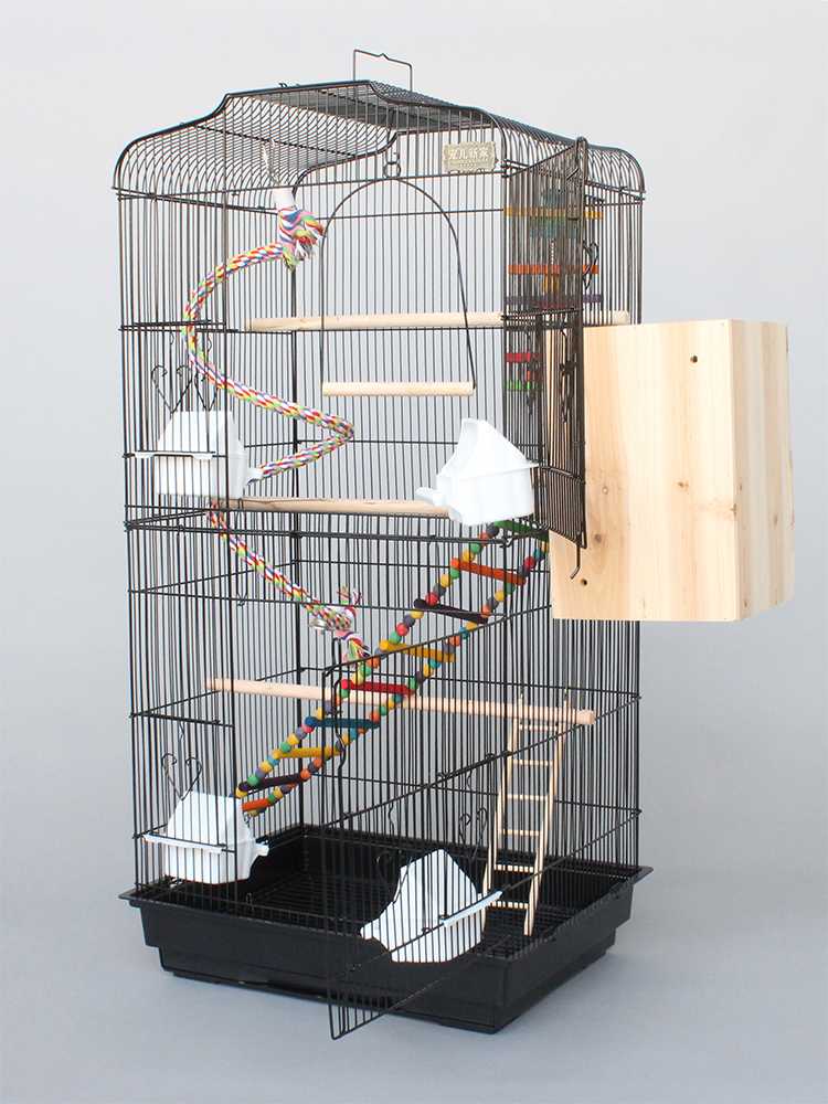 Клетка для попугая корелла: требования к размерам и материалу, секреты обустройства  и установки в доме, технология изготовления своими руками