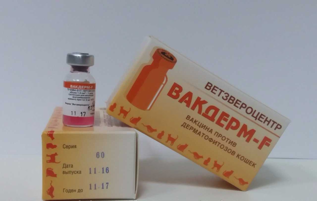 Вакдерм — вакцина для профилактики и лечения дерматофитозов животных
