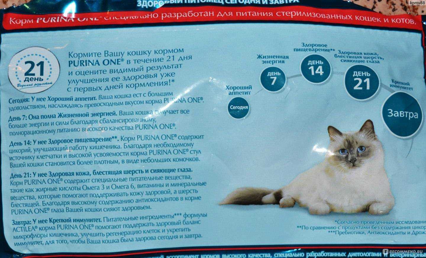 Корм беркли для кошек отзывы ветеринаров
