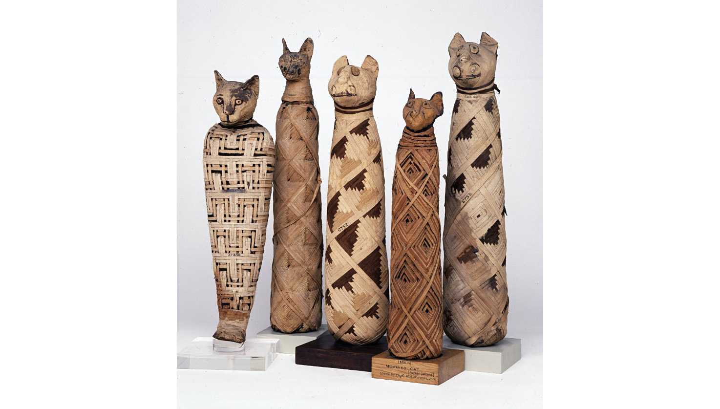 Музыка древнего египта для кошек. Мумифицированные кошки Египта. Мумии кошек в древнем Египте. Британский музей кошки мумифицированные. Мумия кошки в Пушкинском музее.