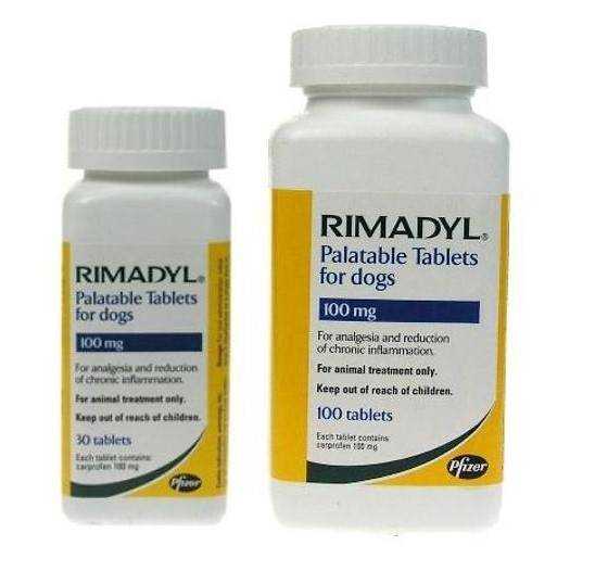 Римадил: анальгетик для собак, помогающий при проблемах с суставами