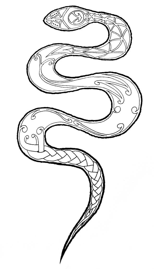 Виды змей. описания, названия и особенности видов змей