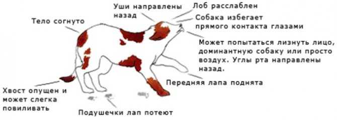Температура у ребенка