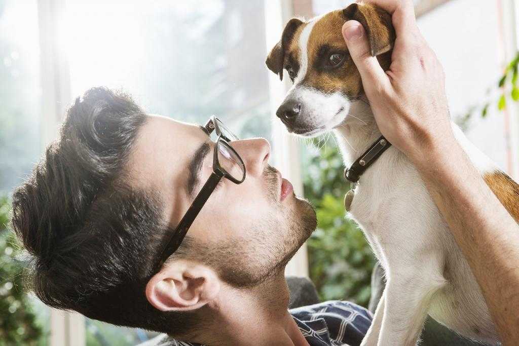 Как отучить взрослую собаку и щенка писать и гадить дома