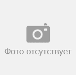 Зеленушка птица. описание, особенности, виды, образ жизни и среда обитания зеленушки