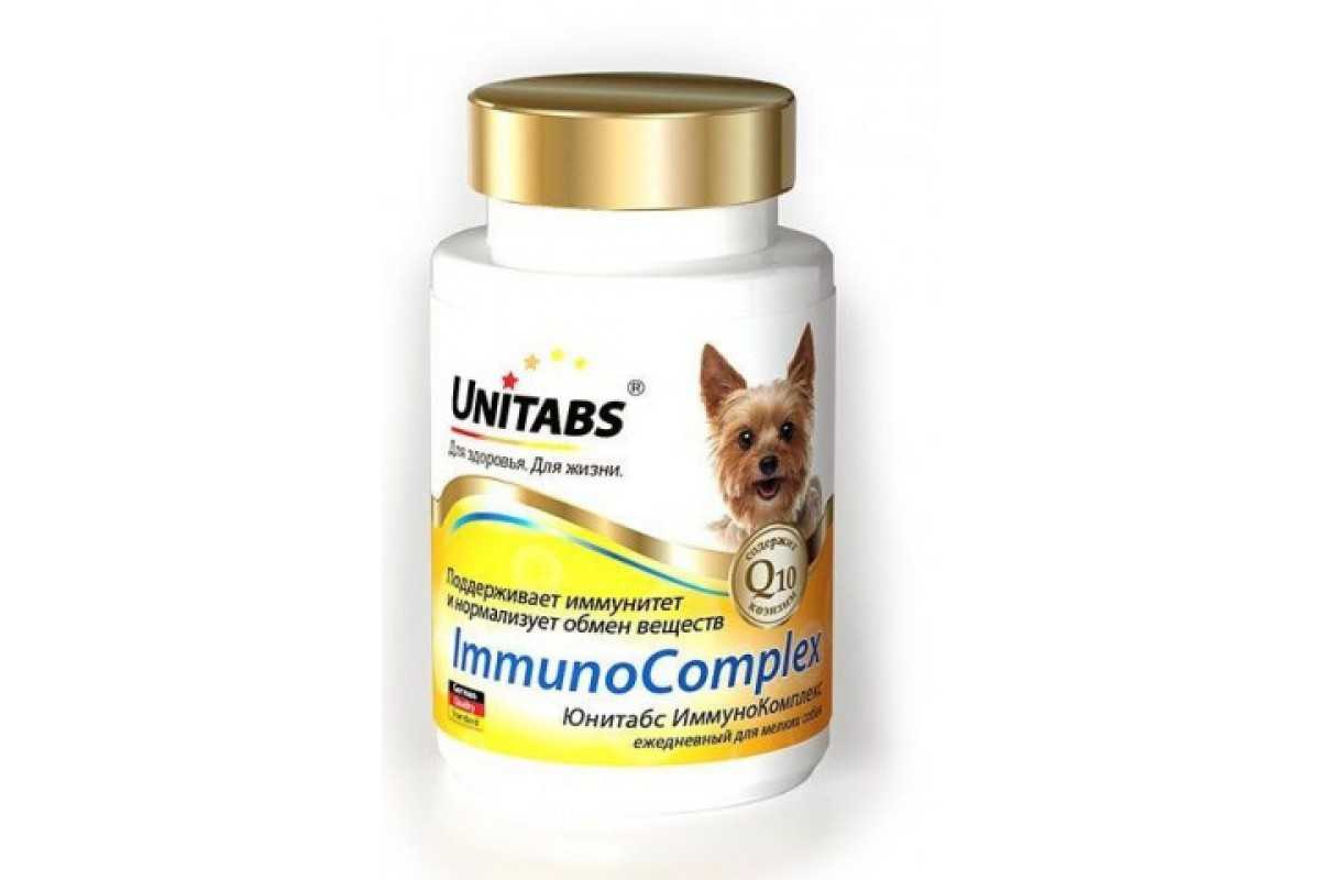 Как подобрать витаминный комплекс собаке? обзор 10 популярных брендов