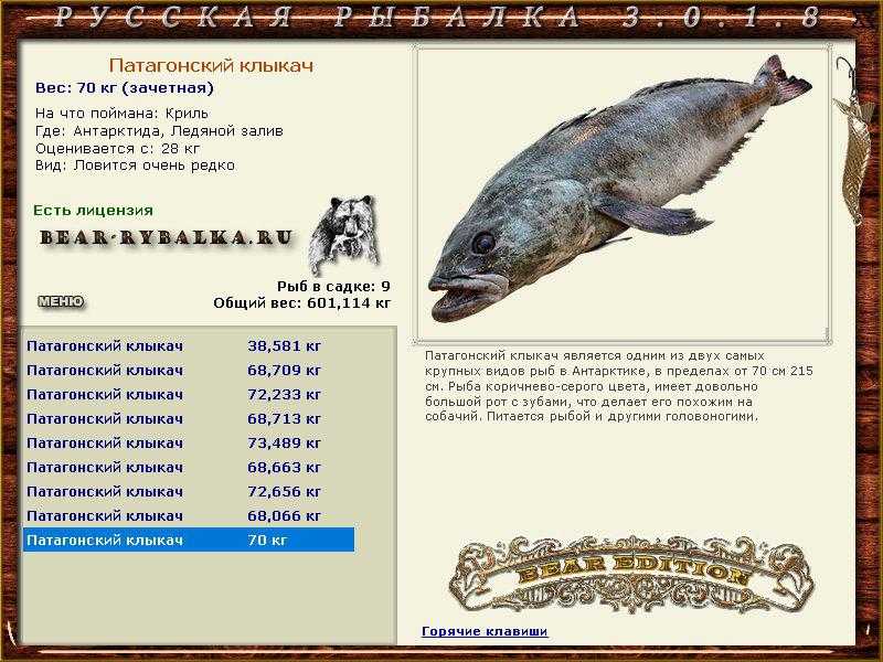Антарктический клыкач - antarctic toothfish - abcdef.wiki