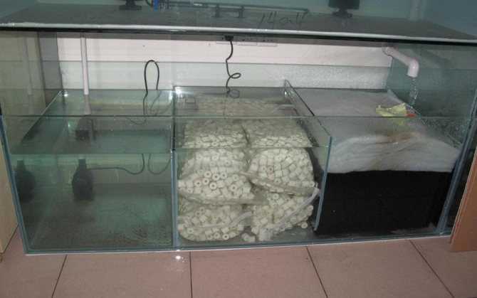 Скиммер для аквариума: принцип работы оборудования, как своими руками изготовить пенник